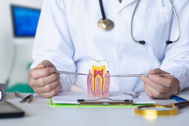 Best Holiday Emergency Dentist in Weaverville, NC